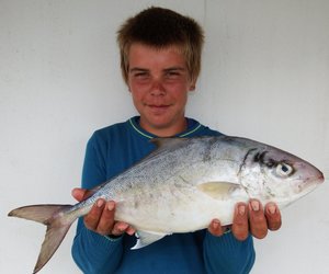 Rare vis vir Gansbaai